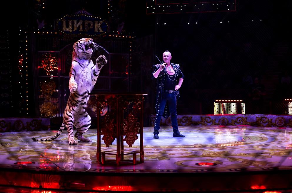 Фото «Королевскому цирку Гии Эрадзе» 25: юбилейный год начинается с гастролей в Новосибирске 2